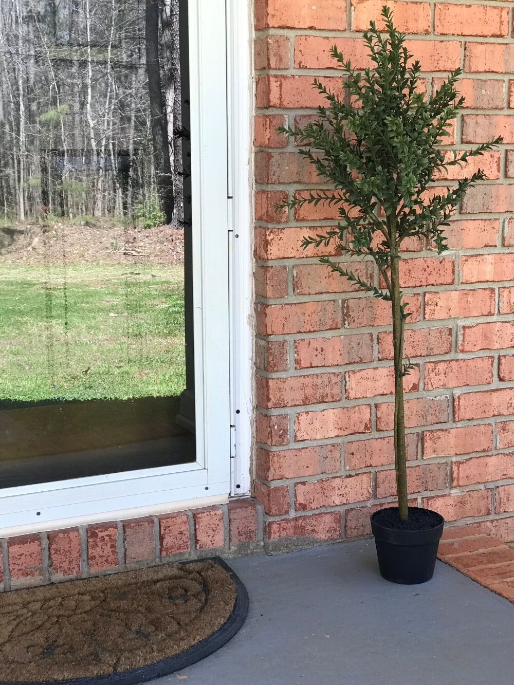 myrtle tree flanking front door for spring front porch decor