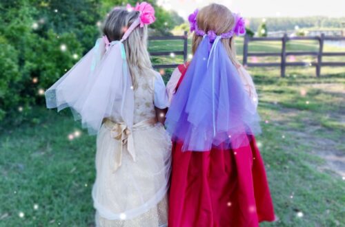 little girl princess dresses