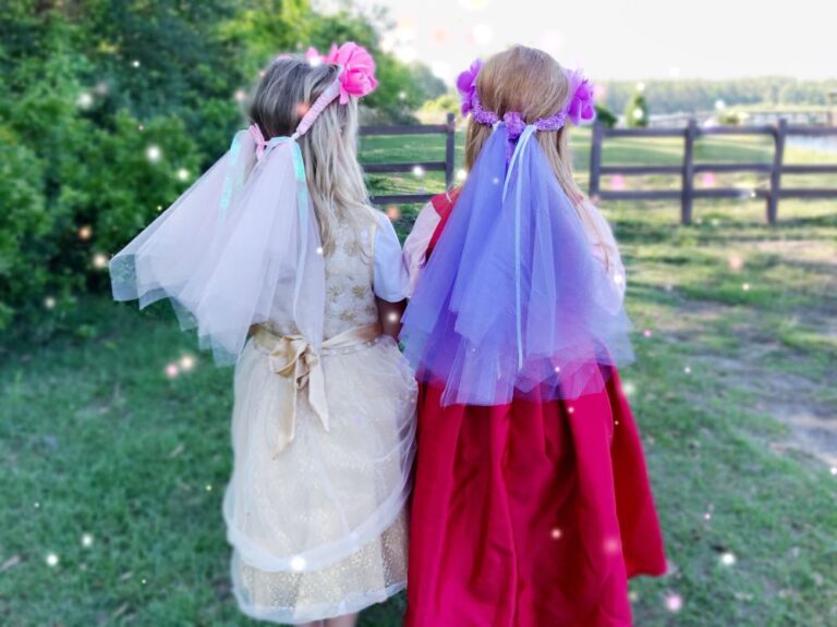 little girl princess dresses