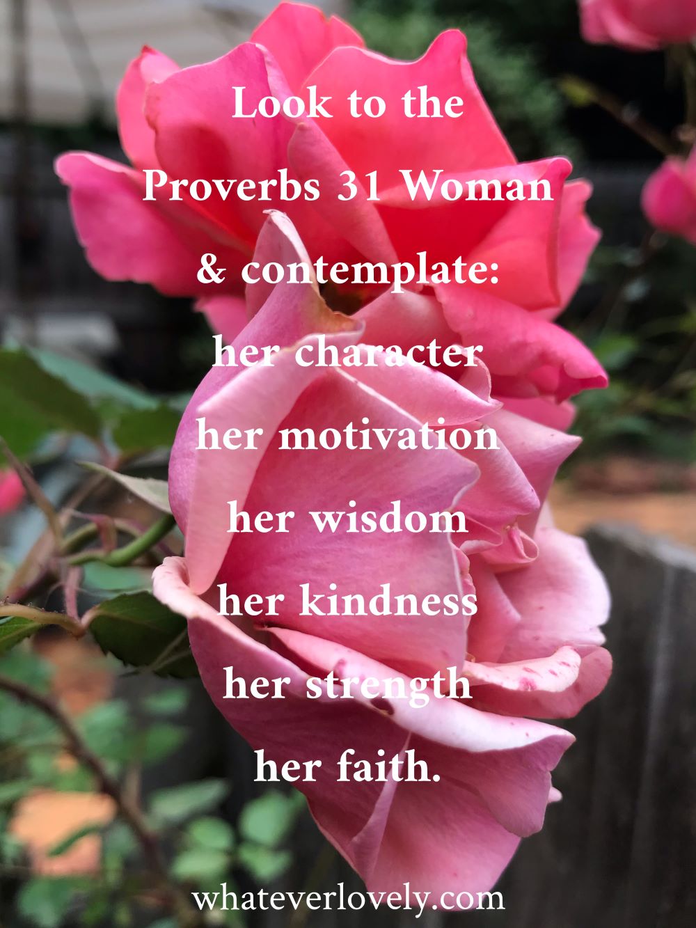 rose garden Proverbs 31 scripture